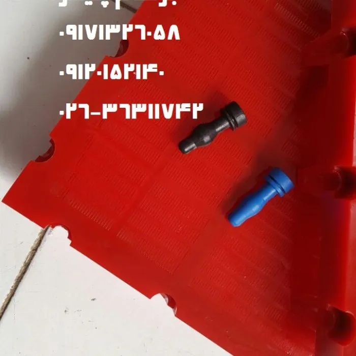 wd